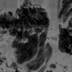 _6 Zeri_