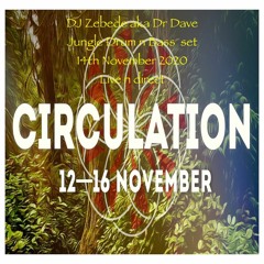 Dr Dave aka DJ Zebede jungle DnB Circulation  Nov 14th 2020 set live