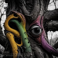 Momentary in the Dark (Original Mix)