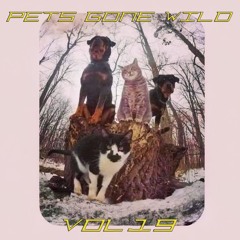 Pets Gone Wild Vol.19