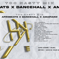 TooNasty Mix | Afrobeats x Dancehall x Amapiano | DJ HK