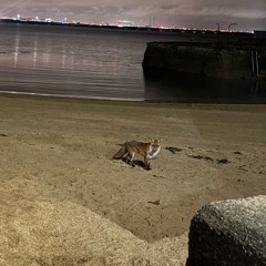 Aunts place x here comes the sun