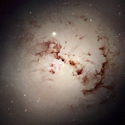 تلاوة سورة النصر للشيخ حسن صالح