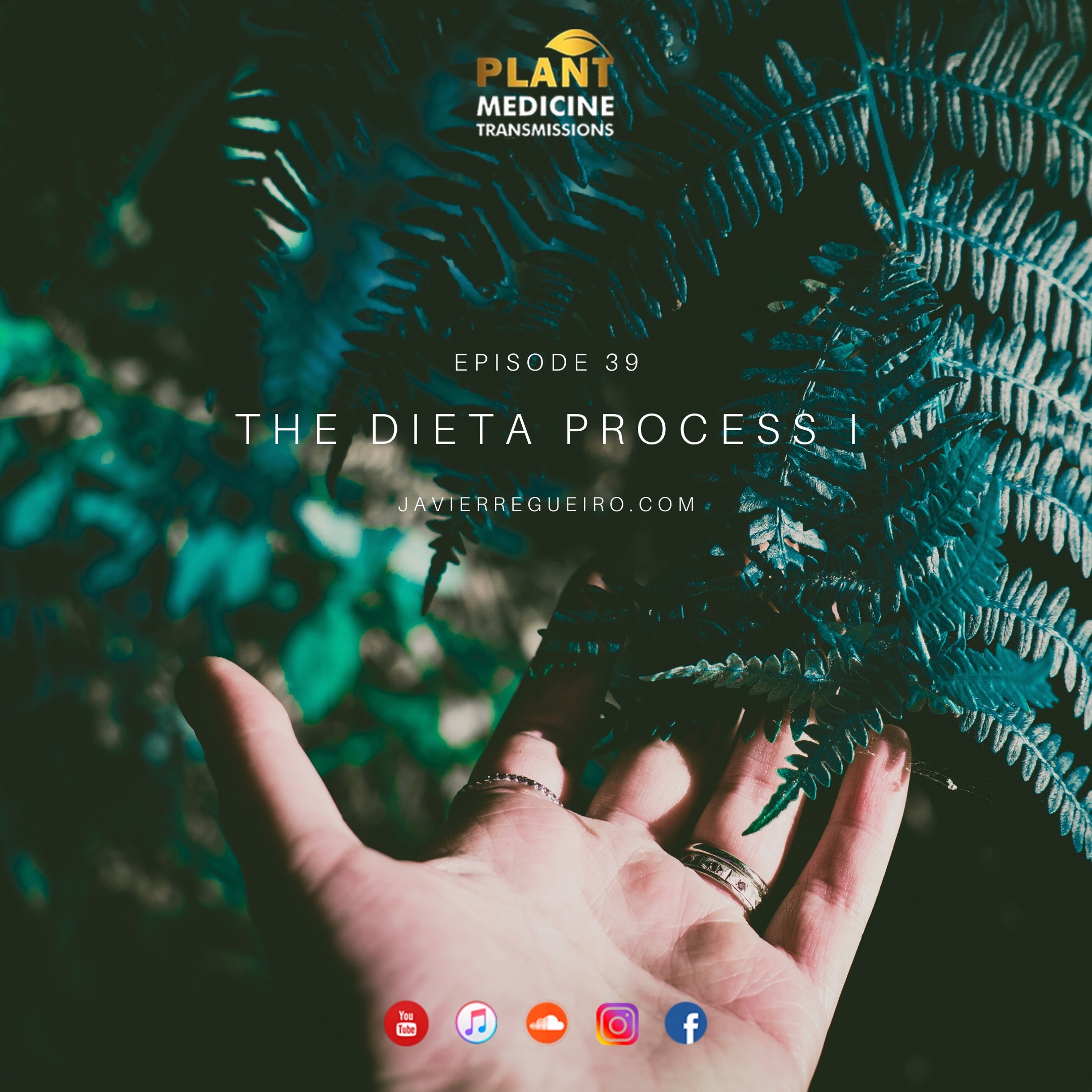 Plant Medicine Transmissions