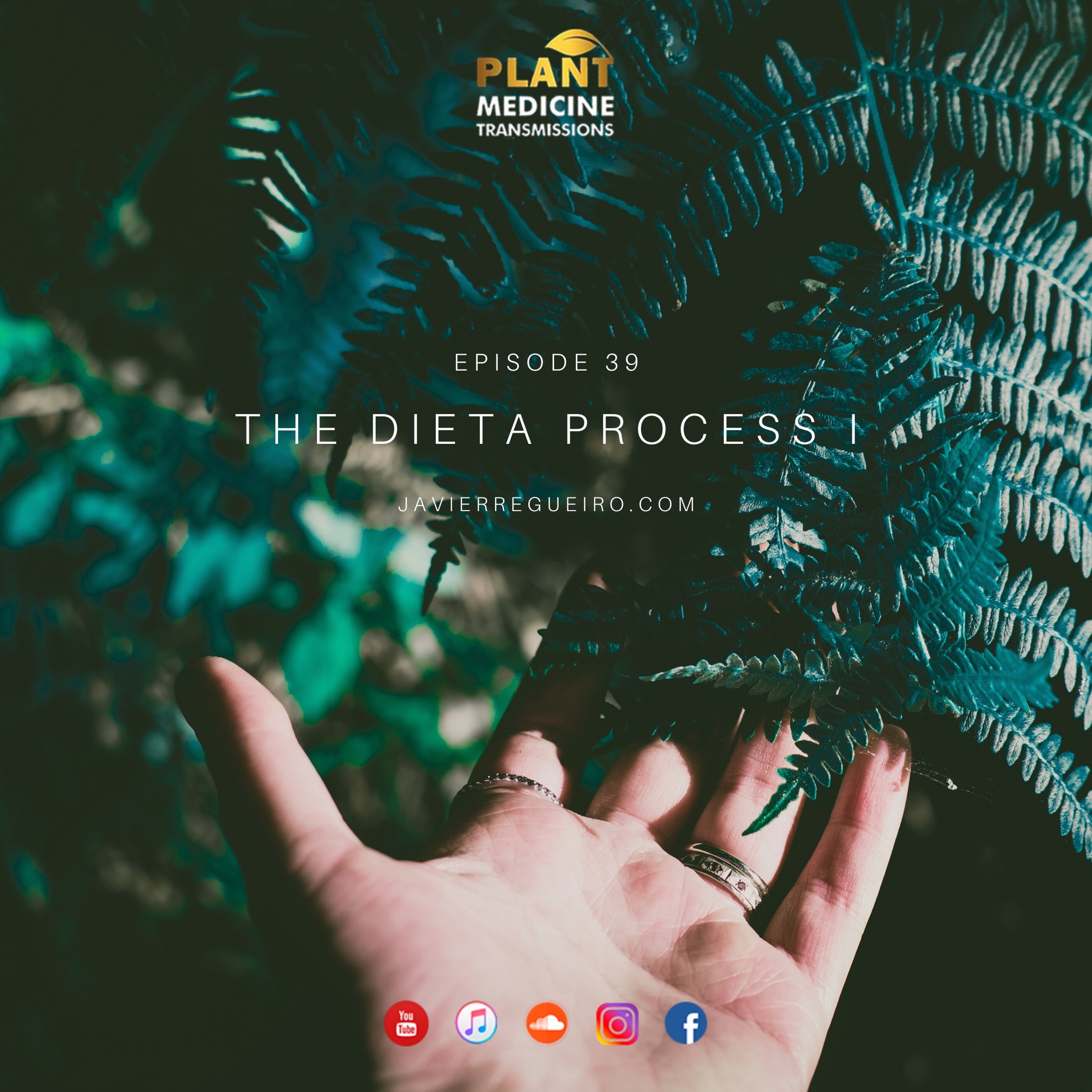 # 39: The Dieta Process I