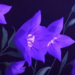 Beautiful