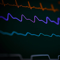 body_scapes, Nº1 | Source Realized