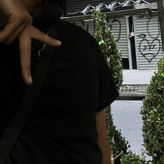 0225 FREESTYLE*RIPX .m4a (omyslim)