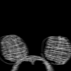 The White Mouse