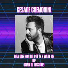 ORA CHE NON HO PIU TE X WAKE ME UP (Gian Dj Mashup) filtered for copyright FREE DOWNLOAD