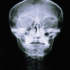 Loop[shynemoonlight]