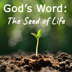 God’s Word: The Seed of Life - July 16, 2023