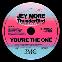 Jey More - You're The One (Feat. ThunderBird)
