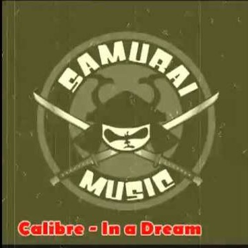 Calibre - In a Dream