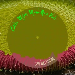 Chiều Một Mình Qua Phố 2025 - tribute to Trịnh Công Sơn | Khán Ly