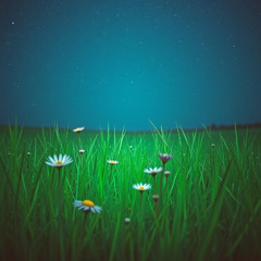Whispers in the Meadow