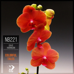 Dave Harrigan - Sunset Girl (Guitar Mix)