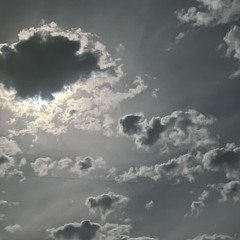 runninup prod: shvde