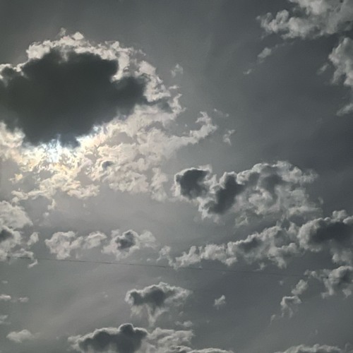 runninup prod: shvde