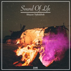 INSOMNIA - Shayan Tajbakhsh
