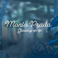 Top Down - Monlo Prada