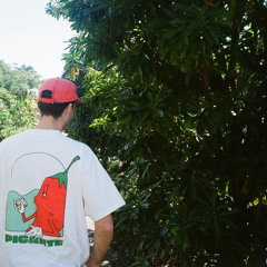 DDJ 200 163