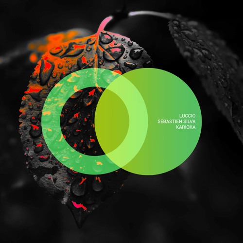 Luccio & Sebastien Silva - Karioka
