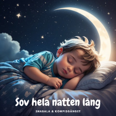 Sov hela natten lång