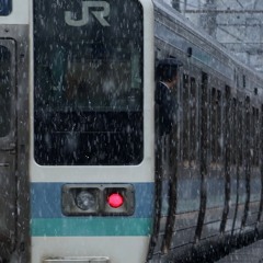 YOUKAI YANAGAWA
