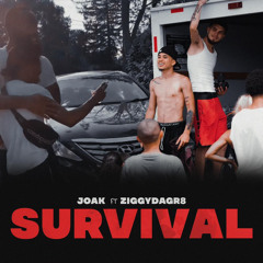 JOAK ft ZiggyDaGr8 - SURVIVAL 😤