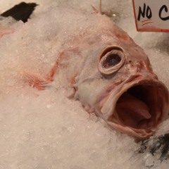 Антиагрессивная тренировка