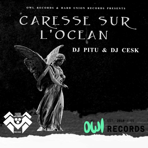 Dj Pitu & Dj Cesk - Caresse Sur L'Ocean (Makina Remix)