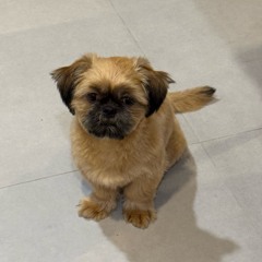 cutting my fingers off