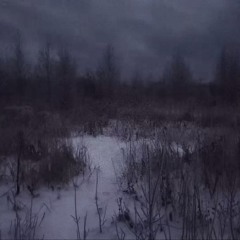 i’m not schizophrenic, go fuck yourself.