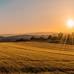 LINKZ - TIMETRAVEL 2023.WAV