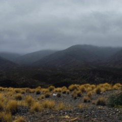 Emotions Rain