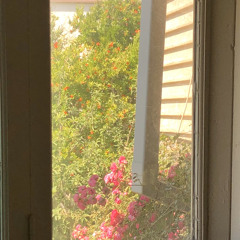 Spiralll X - Mərdəkanda kı Bağ