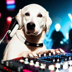 House Mutt 001 w/ parkr