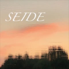 Seide (prod. by Die Band)