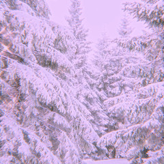 two queens in a king size bed- girl in red (slowed+reverb)