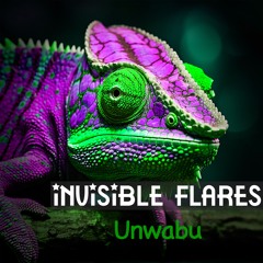 Avi Peretz Invisible Flares - VvOoooVv - WvWoooWvW -