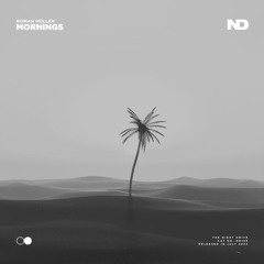 Roman Müller - Mornings