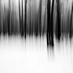 August Clips (graveworld)