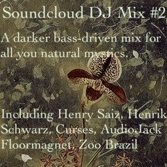 Soundcloud DJ Mix #2 with Henry Saiz, Roger Martinez, The Organism, Mike Rish, Floormagnet