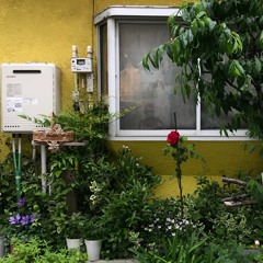 普通 prod.MPC1995