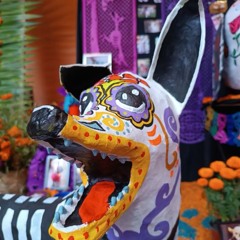 Vlad-Kiproko.Wav (Les Echos Sauvages) (Master 2)