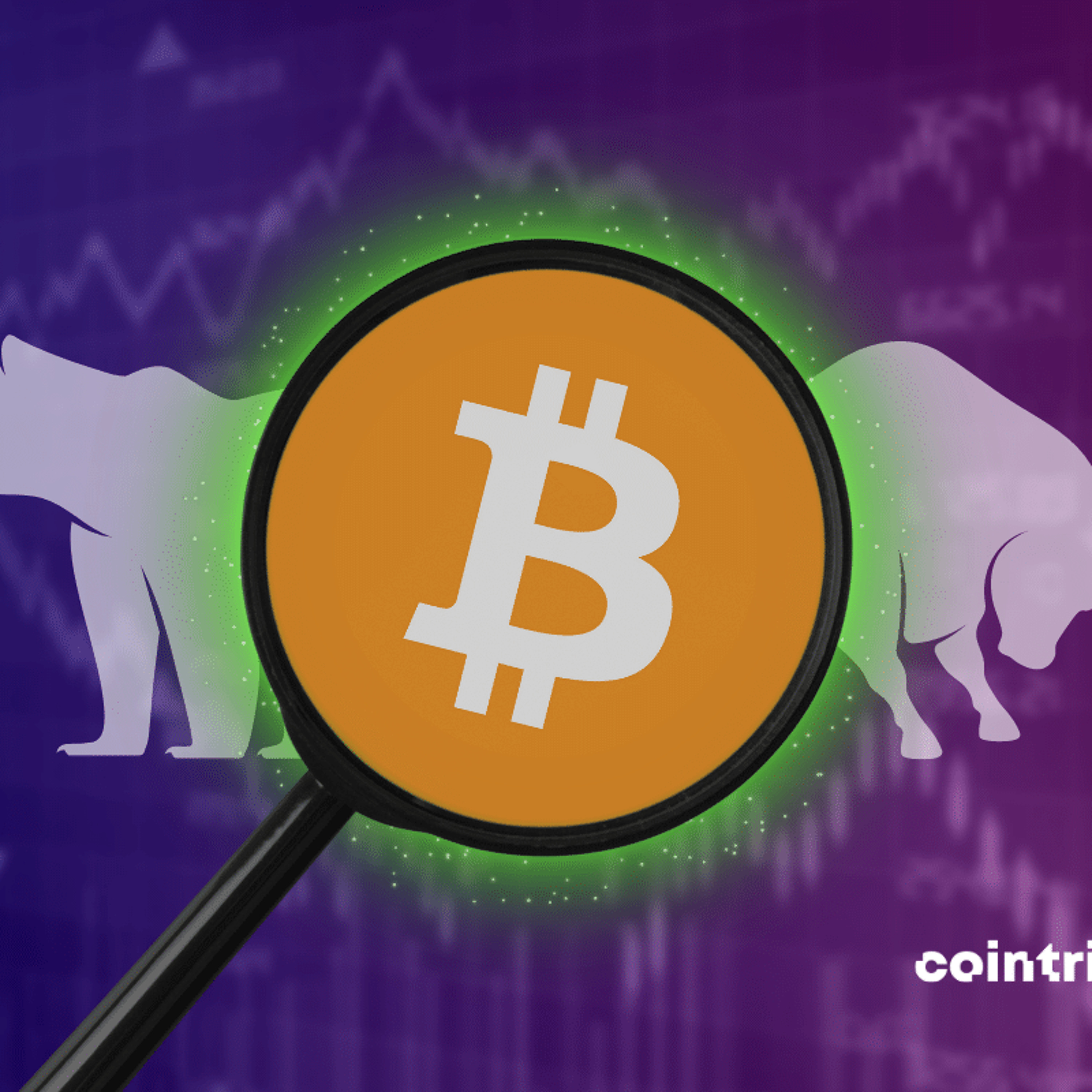 Alexandre Chaimbault - Cyber Investisseur Cryptos