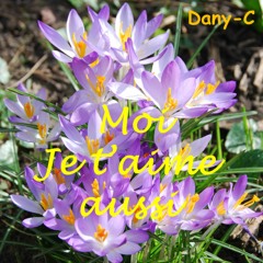 Moi Je T'aime Aussi (mix)