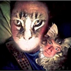 CatMeatMix//Tech House