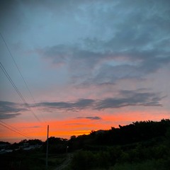 Luv sunset